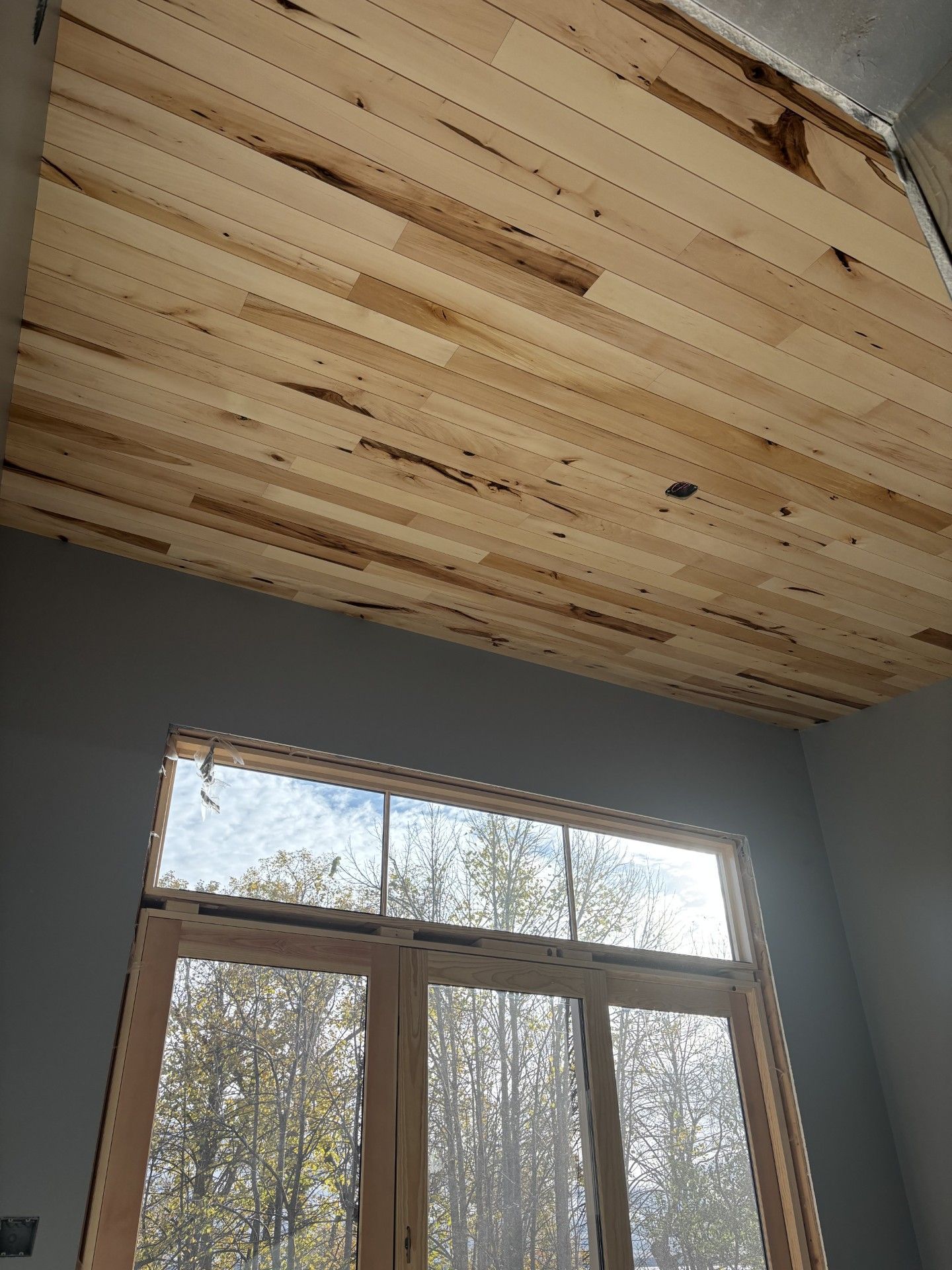 Wood Ceiling