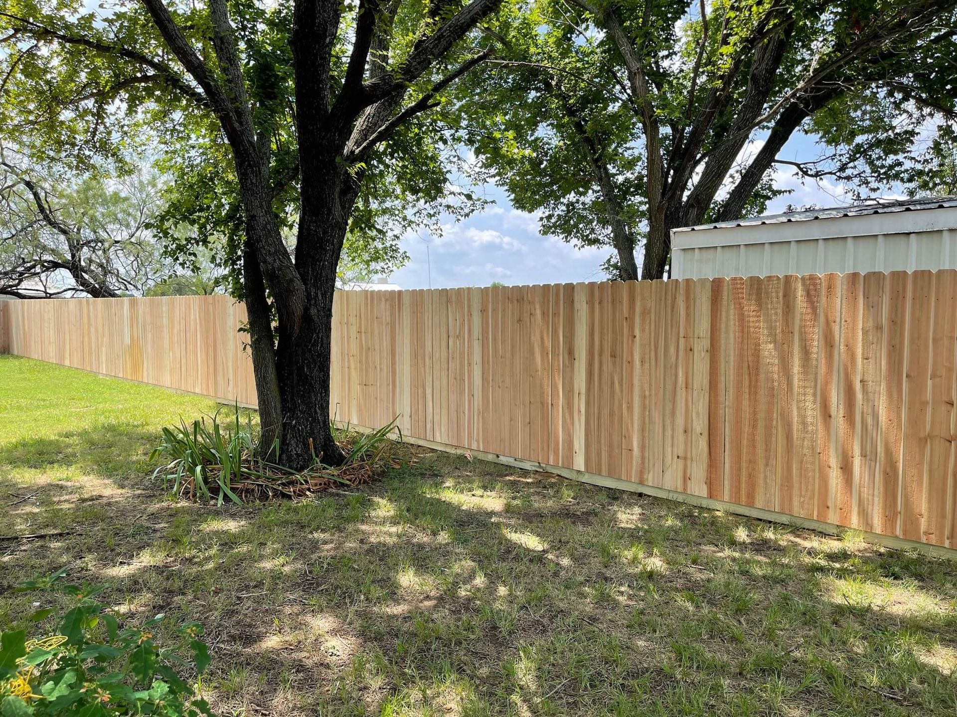 A Wooden Fence Is Surrounded by Trees in A Backyard