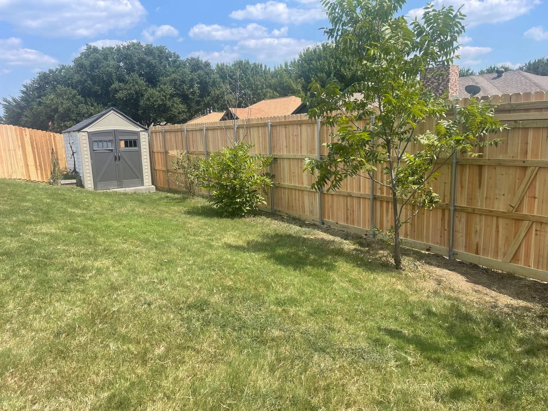 A Backyard with A Wooden Fence and A Shed