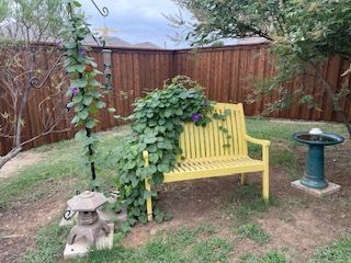 Yellow Bench in The Middle of A Yard Next to A Bird Bath