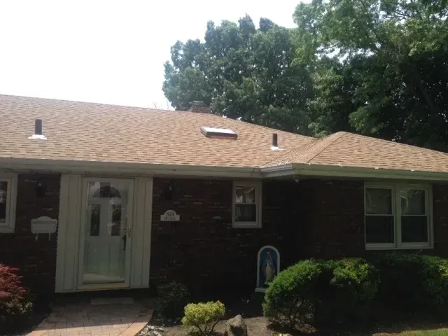 Single-story brick house with a front door, windows, and trimmed bushes under a tree-lined rooflineafter