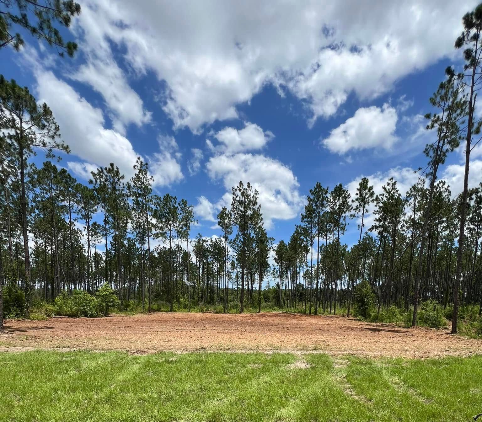 A field with trees in the background and a blue sky with clouds