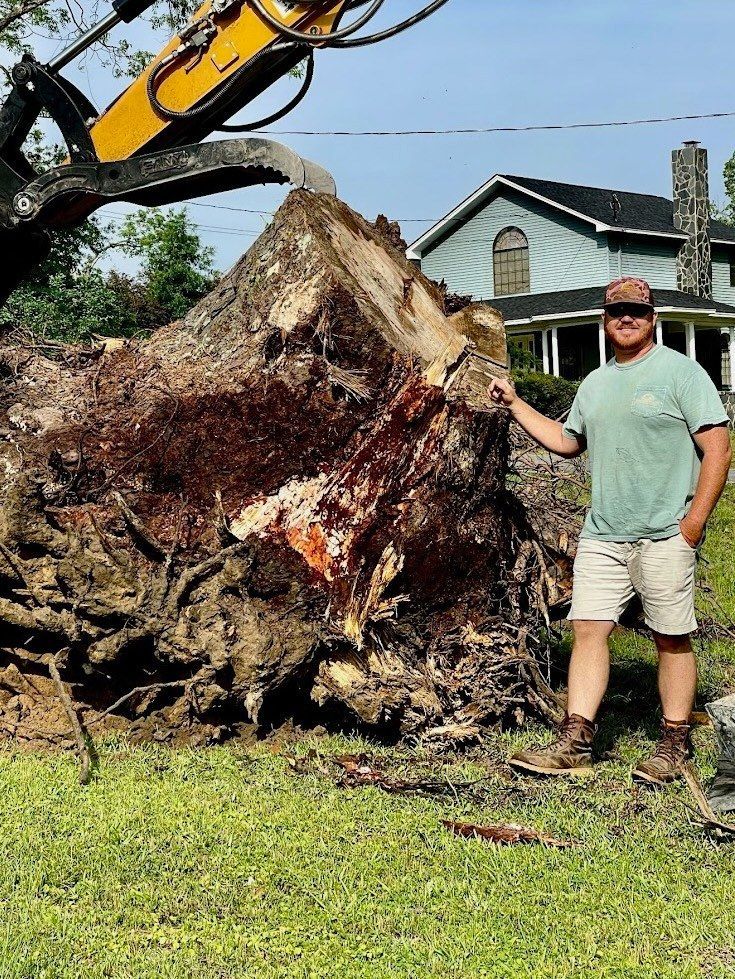 A man is standing in front of a large tree stump.