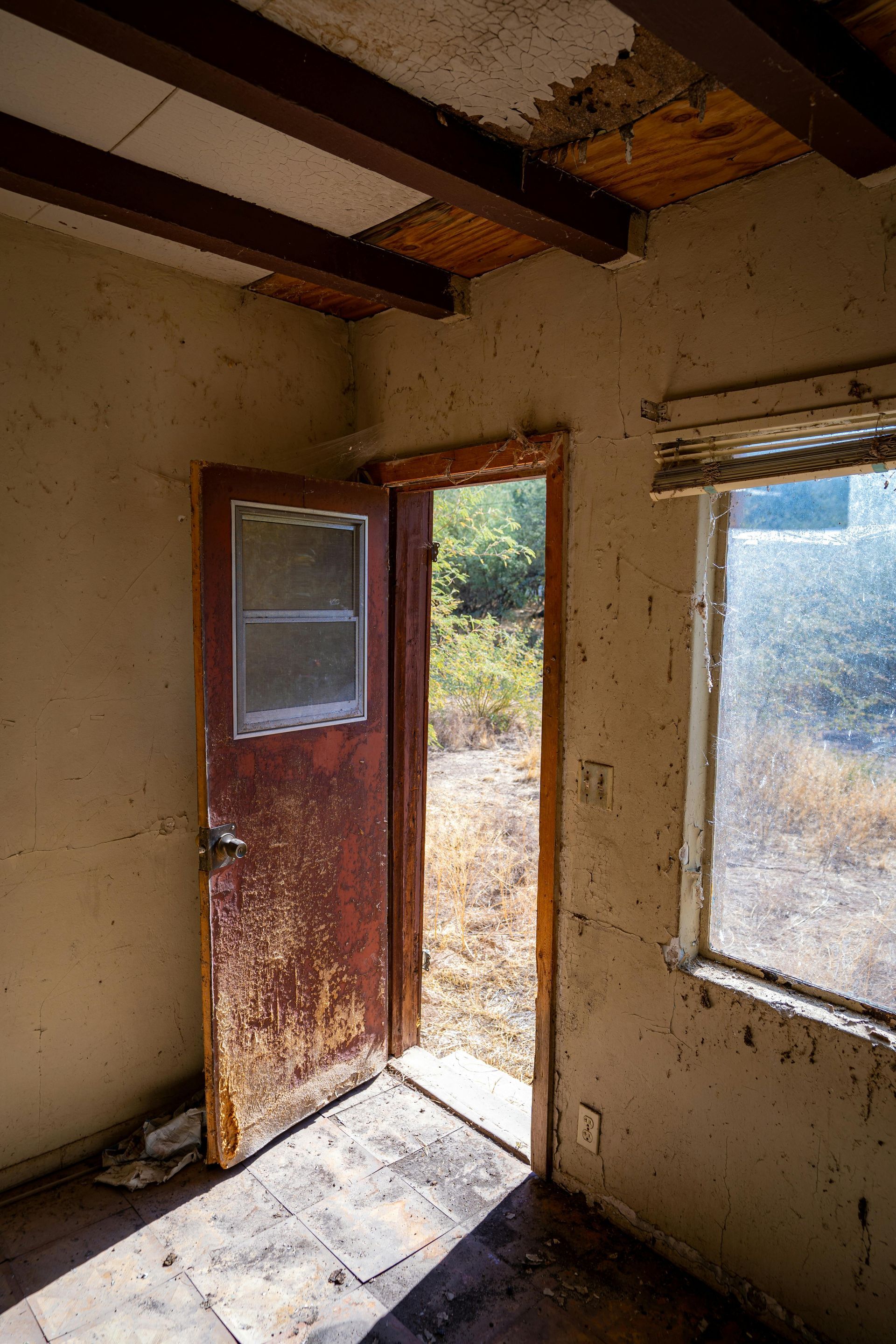 Interior view of abandoned building, open door, peeling paint, bare wood ceiling, window with overgrown view.