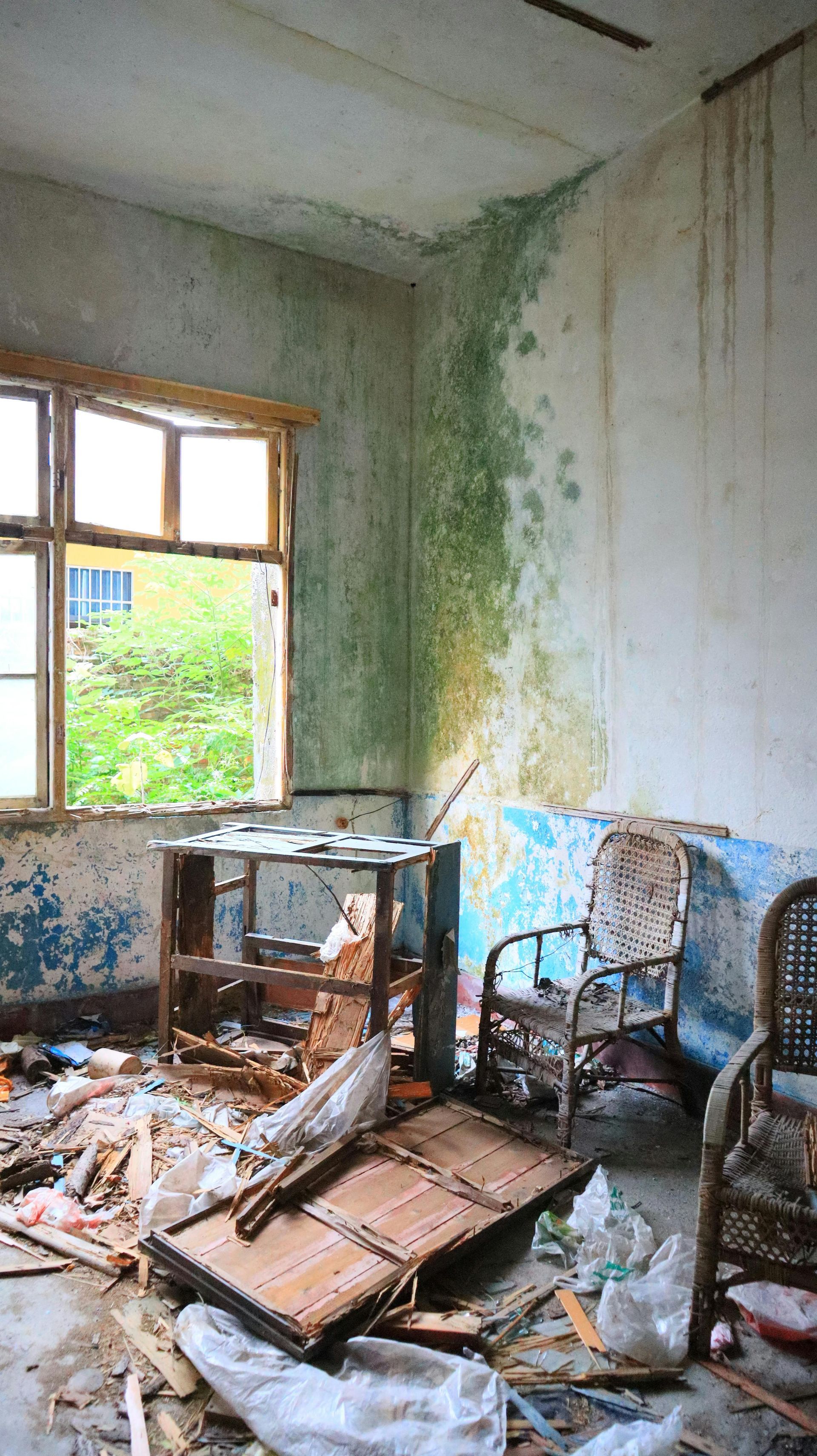Dilapidated room with moldy walls, broken furniture, and an open window overlooking greenery.