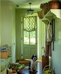 Entryway with green walls, dog, baskets, and open door with green shade.