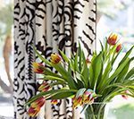 Bouquet of tulips in front of patterned black and white curtains.