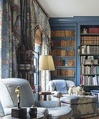 Cozy library with blue walls and patterned curtains. A dog sits on an ottoman next to an armchair.