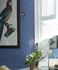 A blue patterned wall with a framed parrot art and a window with white shutters.