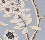 Light blue wallpaper with white floral and branch pattern.