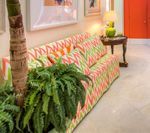Living room with patterned sofa, palm tree, plants, and orange door.