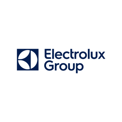 The electrolux group logo is on a white background.