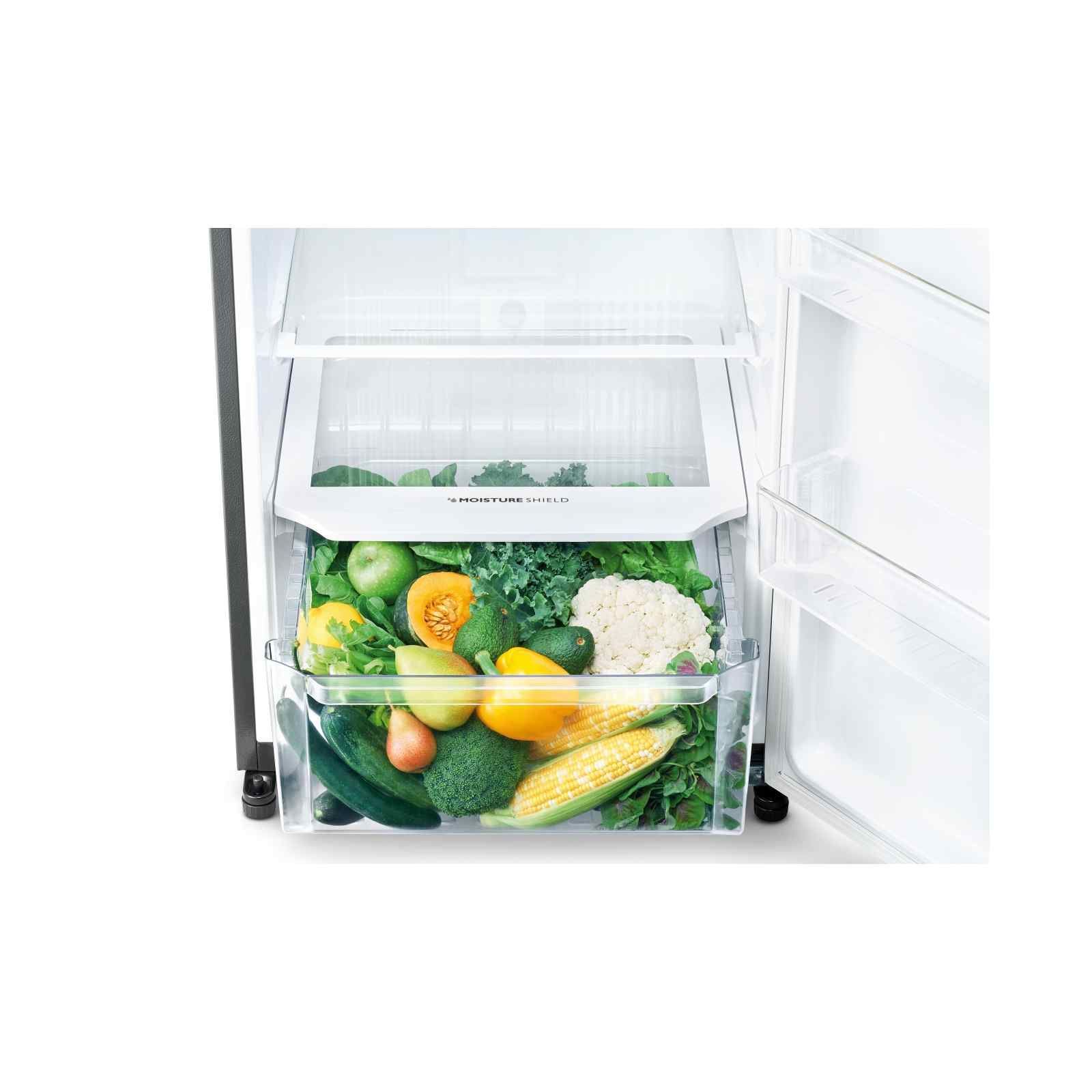 SHARP SJ-RF22E-DS 2 DR FRIDGE (224L)