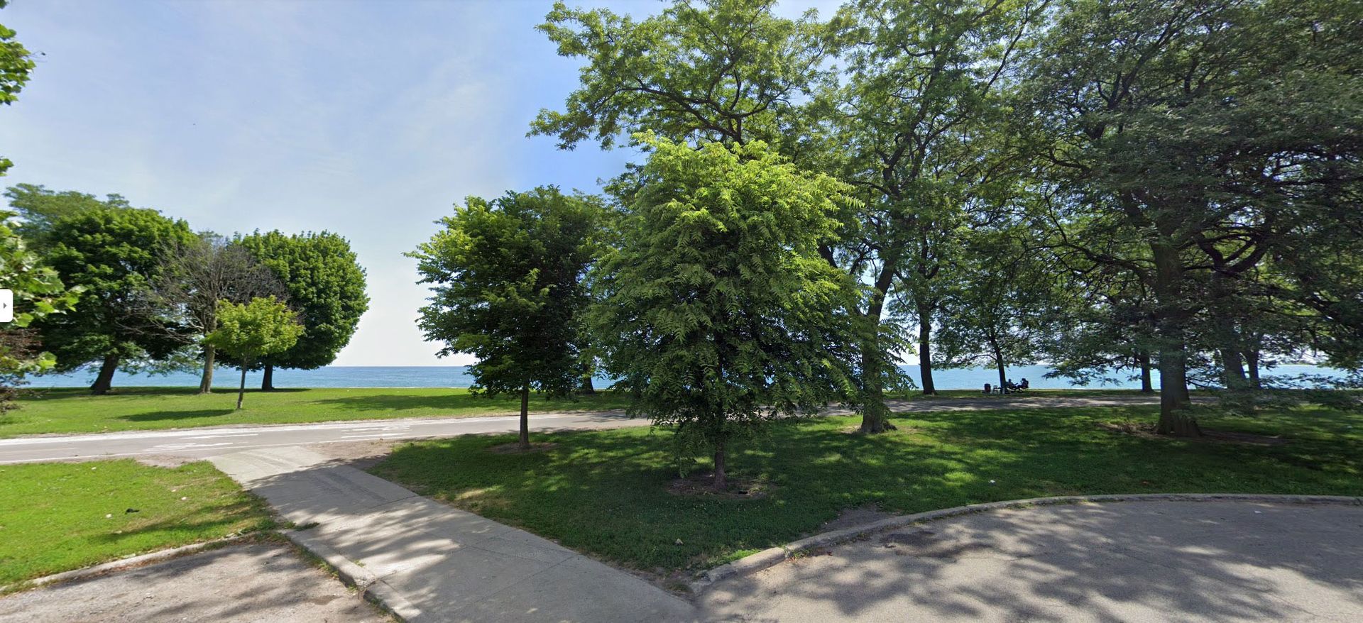 A park with trees and a path leading to the water