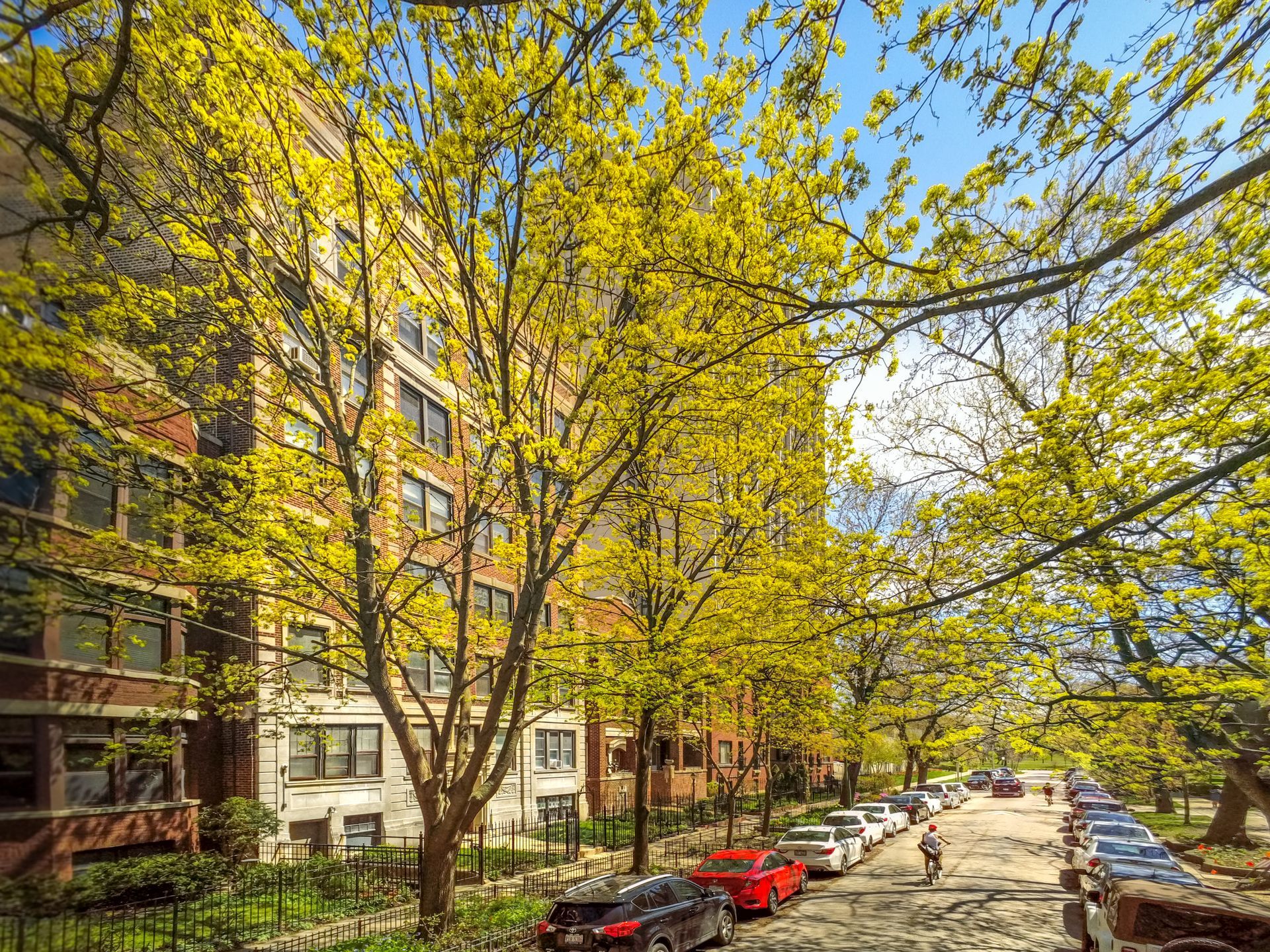 A row of cars are parked in front of a building with yellow leaves.