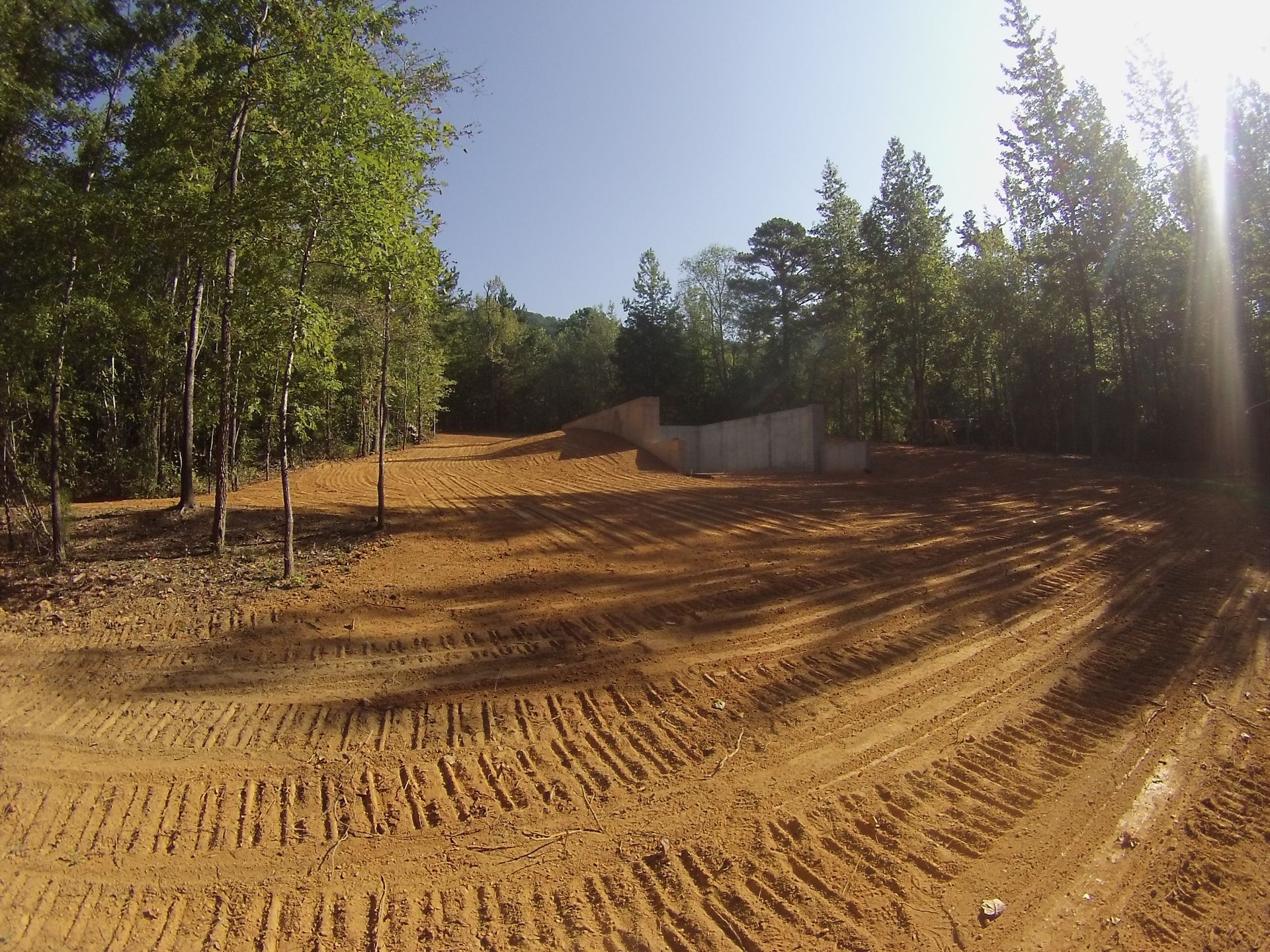 A dirt road in the middle of a forest