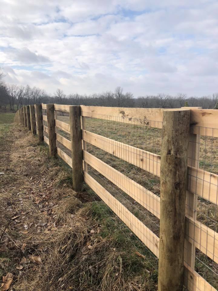 Mesh Fencing Lexington, KY