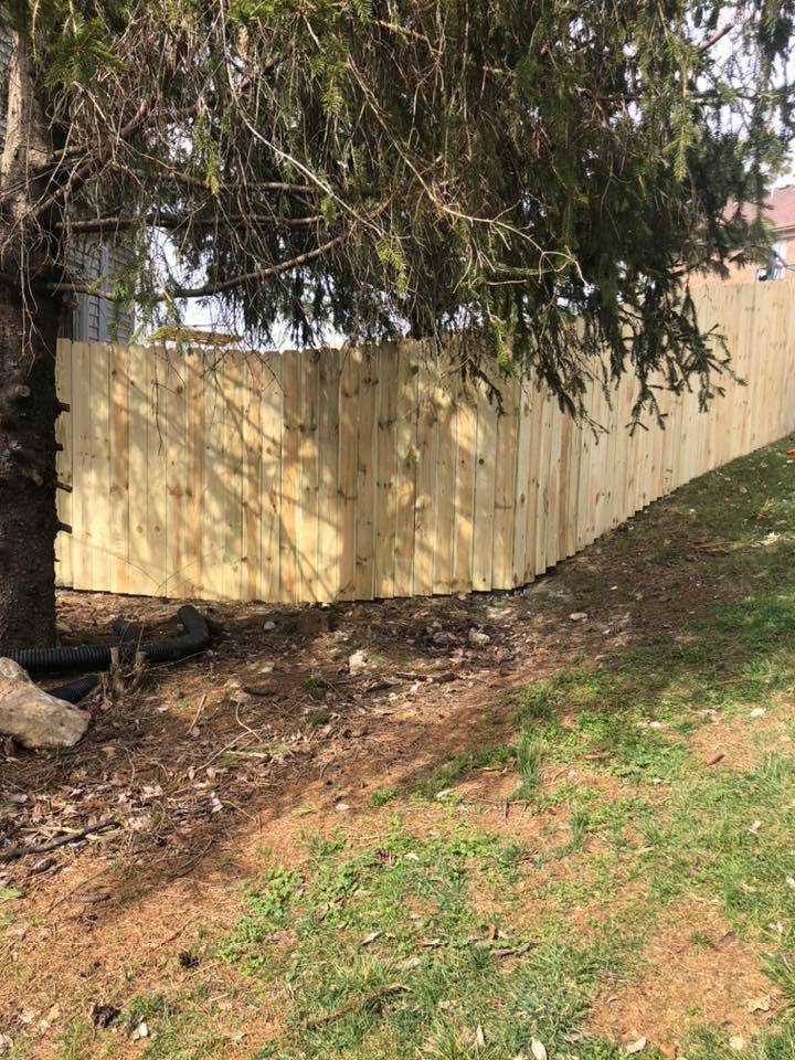 Mesh Fencing Lexington, KY