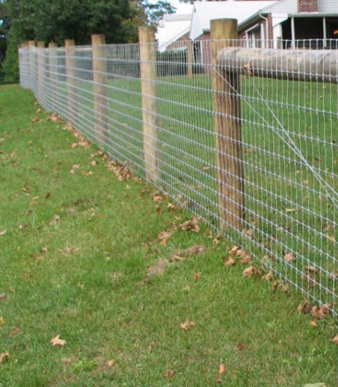Mesh Fencing Lexington, KY