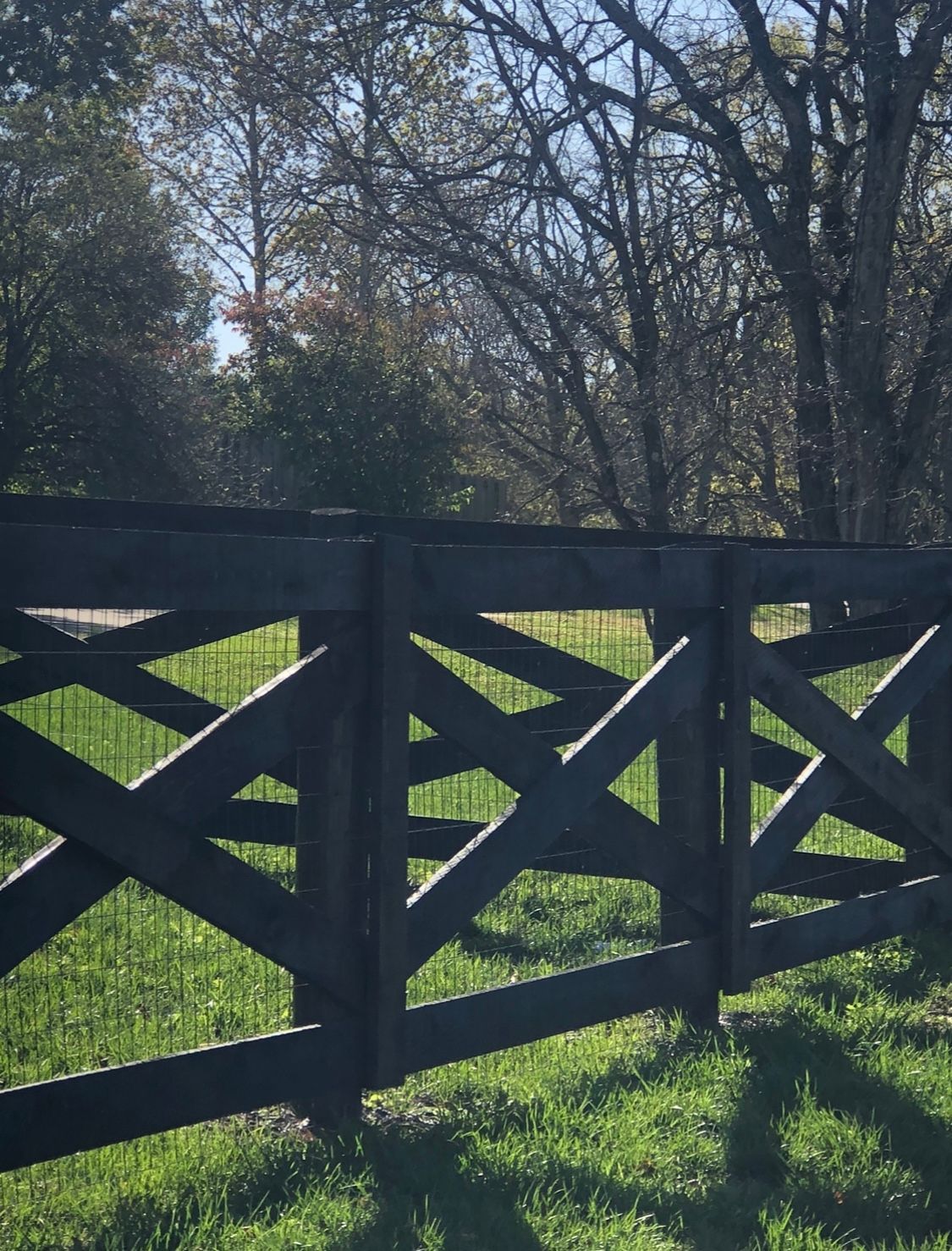 Mesh Fencing Lexington, KY
