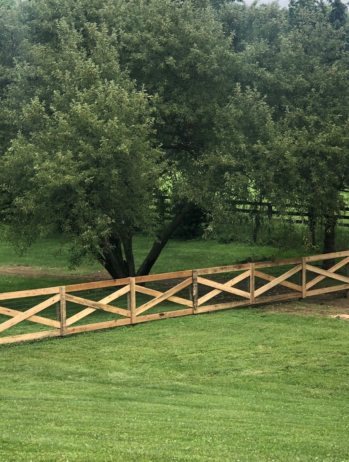 Mesh Fencing | Lexington, KY