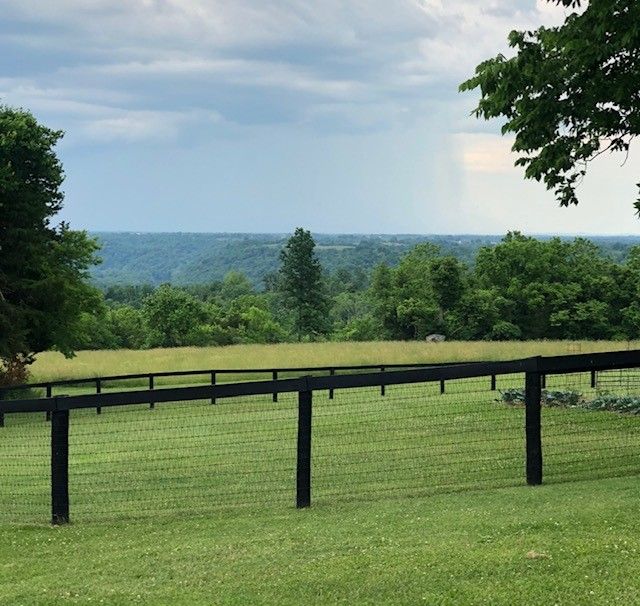 Four Board Fences Lexington, KY