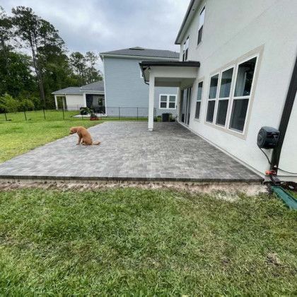 A dog is sitting on a patio in front of a house.