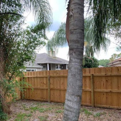 A wooden fence surrounds a backyard with a palm tree in the foreground.