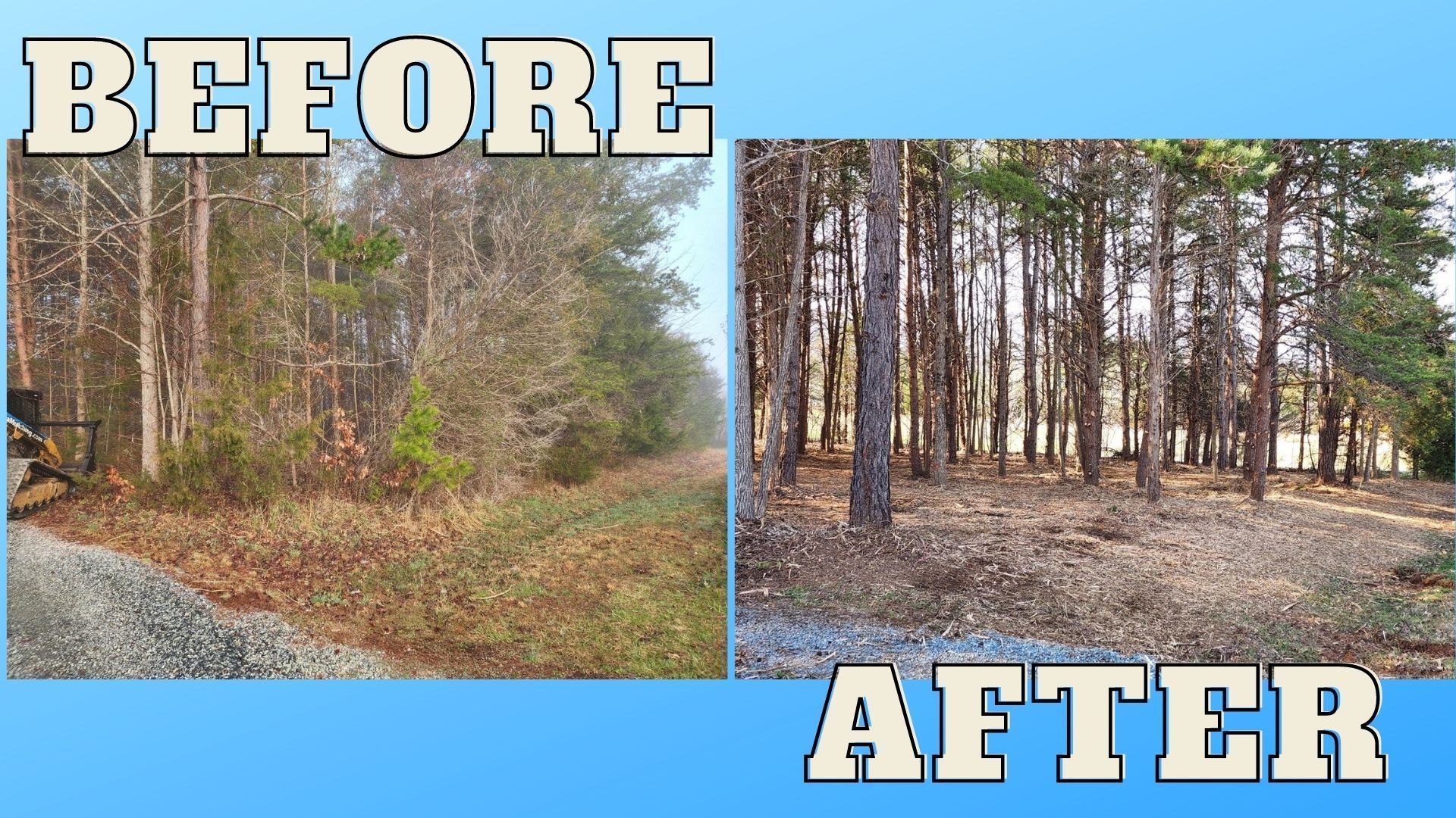 Forestry mulching before and after