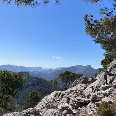 Ein sonniger Blick aus der Vogelperspektive auf schroffe, felsige Berggipfel und grüne Wälder unter klarem, blauem Himmel.
