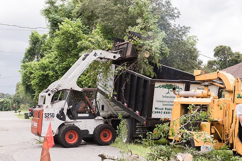 Trimming Tree with Electric Saw — DeLand, FL — Treescapes Tree Removal Services