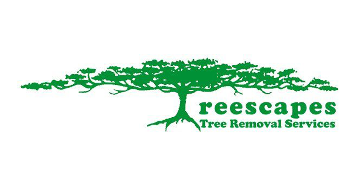 Tree Removal Services Deland FL - Clayton's Quality Tree Service LLC