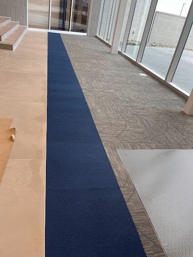 A blue carpeted hallway with stairs and windows