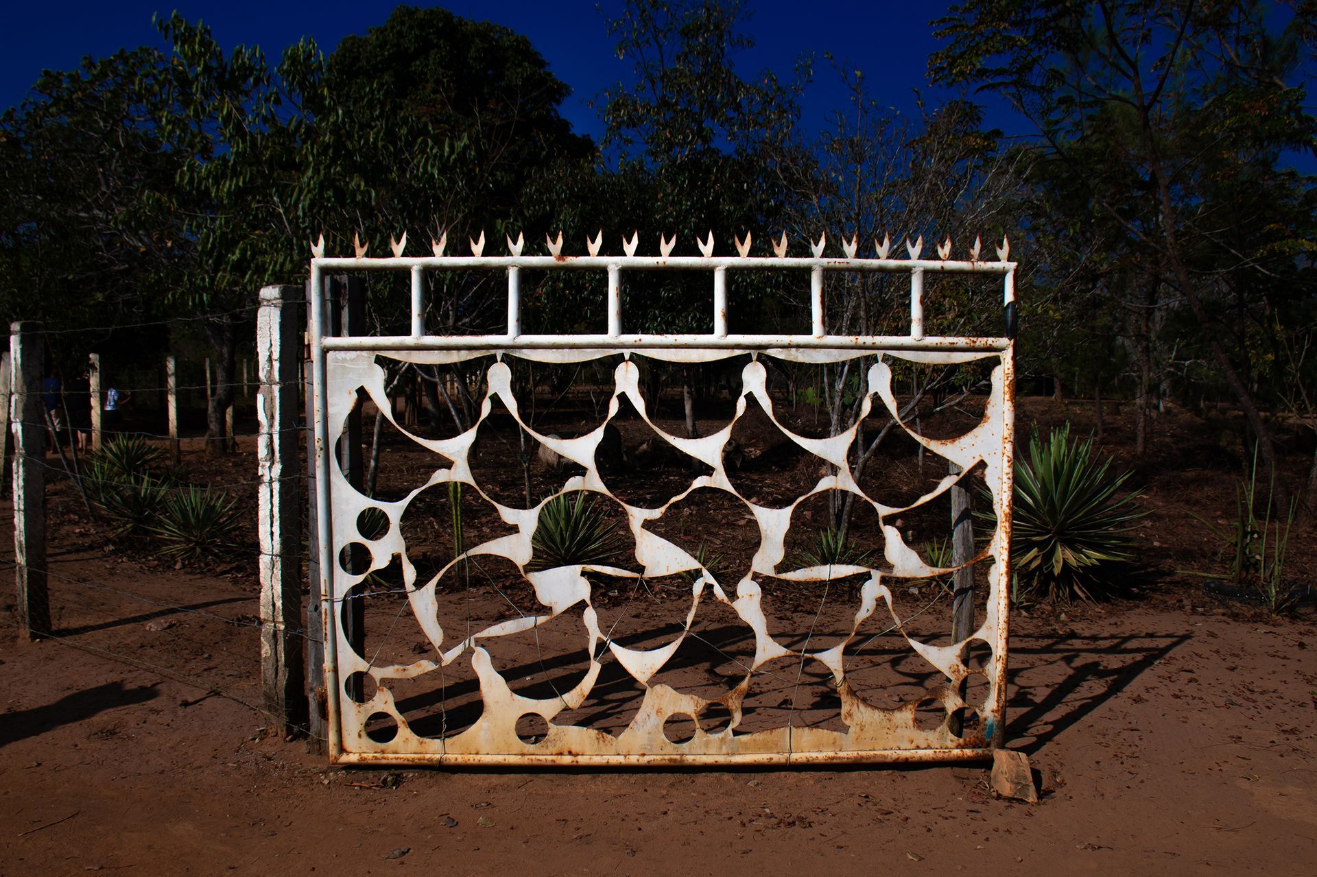 Foto © Douglas Lopes contato@dougloppes.com