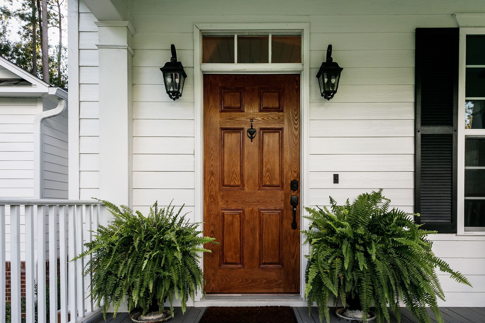 New front door on a home with white siding and fern plants beside the door