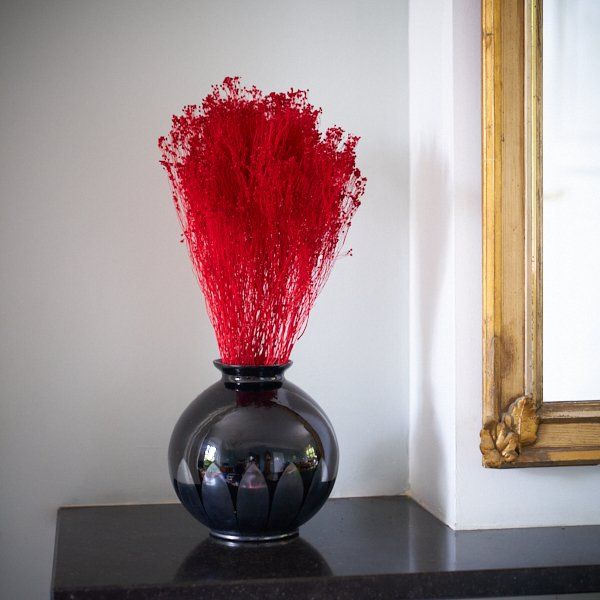 Brooms Red