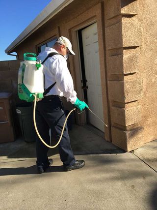 Worker Spraying Pesticide — Stockton, CA — A-1 Exterminators