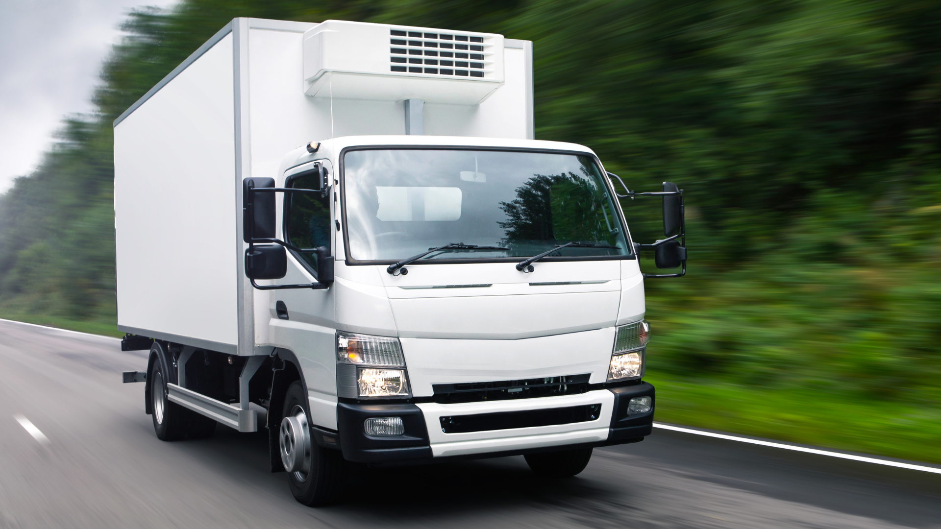 Lush green lawn borders a gravel bed with shrubs and large rocks, under a bright sky.