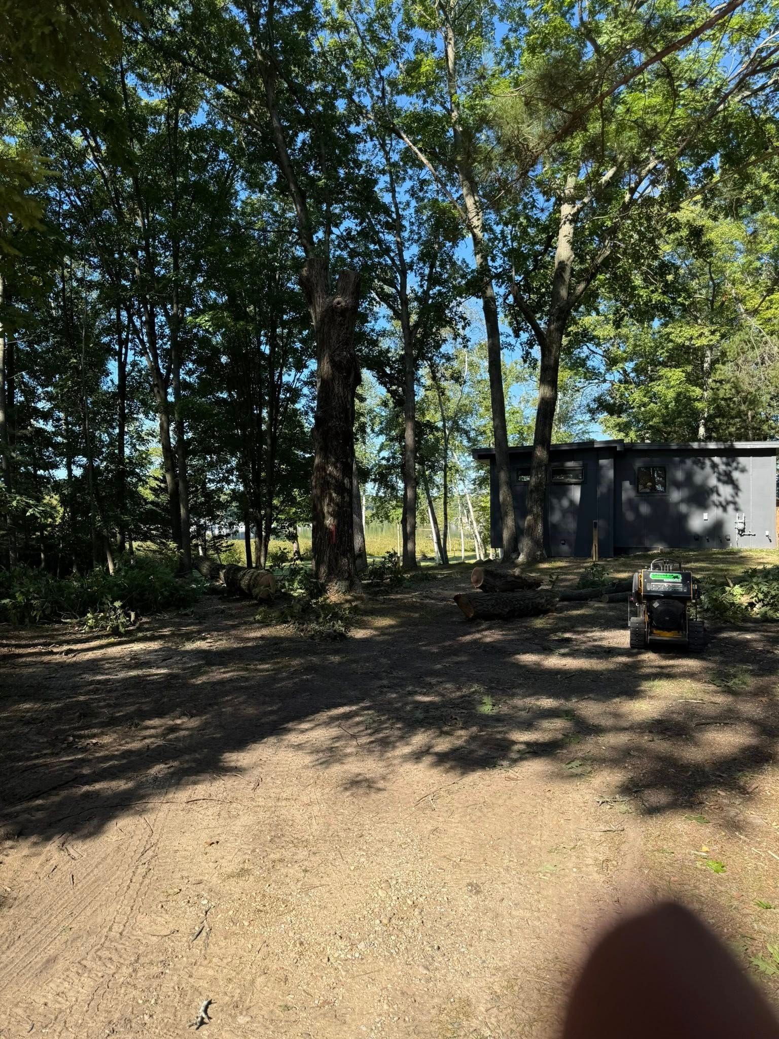 A cleared area with trees and a building. A lawnmower sits on the right.