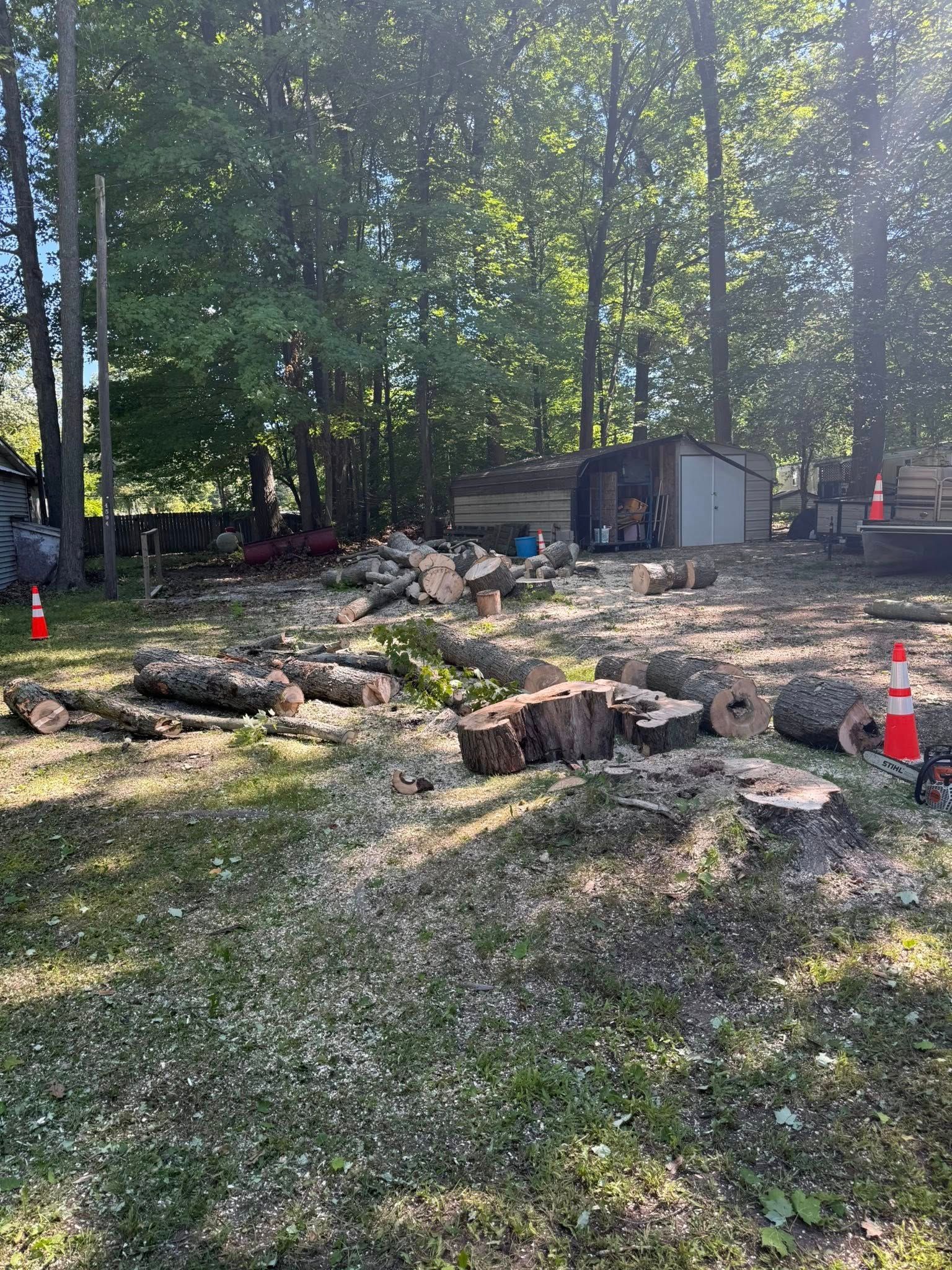 A yard with cut tree logs, shed, and debris. Sunlight streams through trees; safety cones placed.