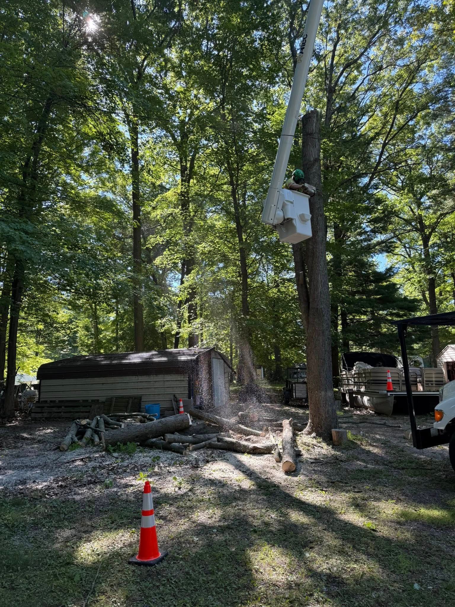 A tree being trimmed by a worker in a bucket lift in a wooded area; logs and debris on the ground.