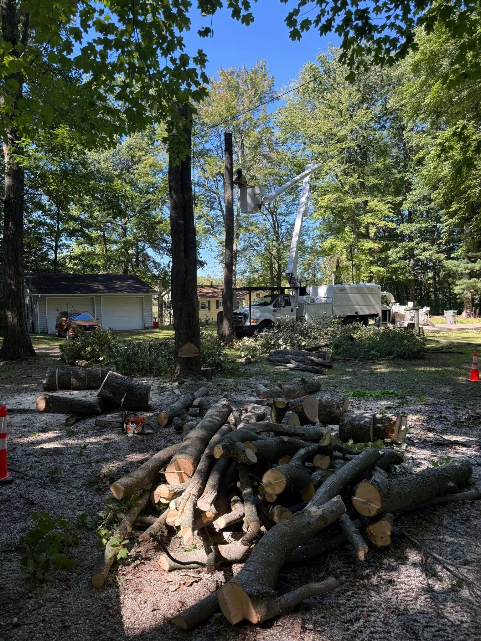 Tree cutting with power lines in the background. Logs on ground, a truck, and workers in a bucket.