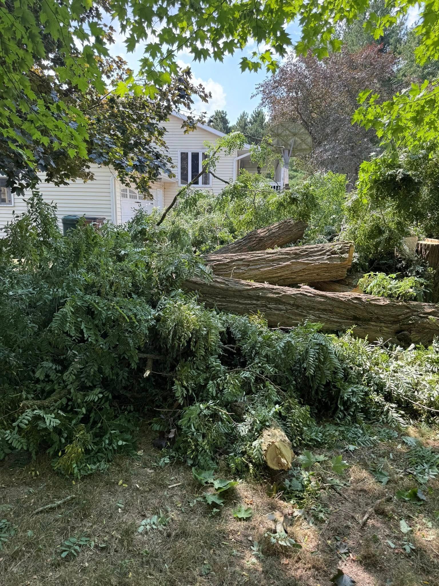 Fallen tree trunk and branches in front of a white house, surrounded by green foliage. Sunny day.
