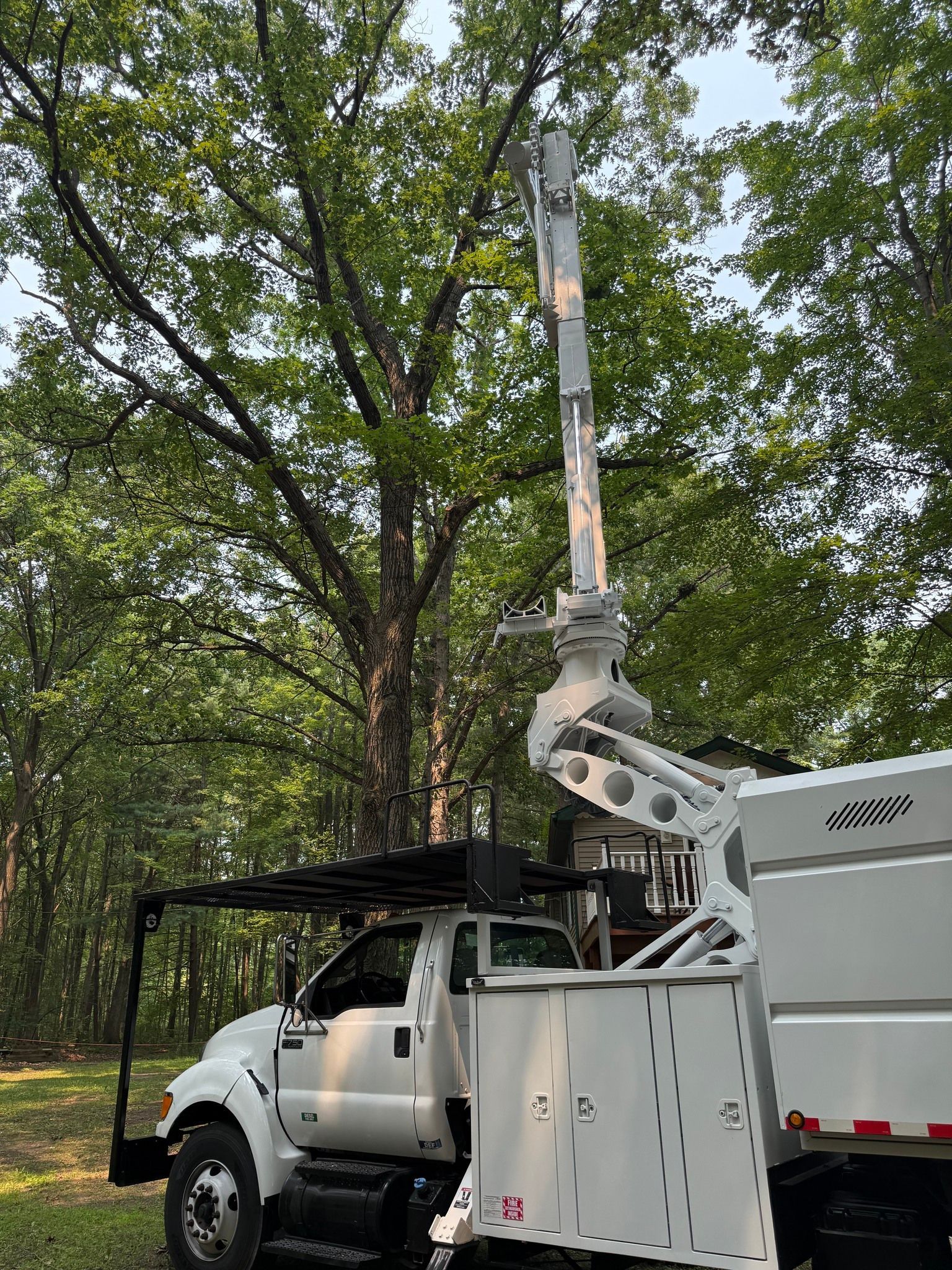 White truck with an extended arm and claw cutting a tall tree.
