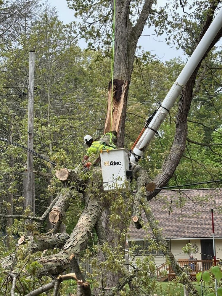 A tree trimming worker in a bucket truck cutting a damaged tree near power lines.