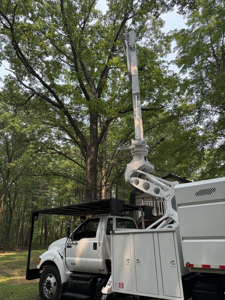 White tree trimming truck with arm extended towards large tree.