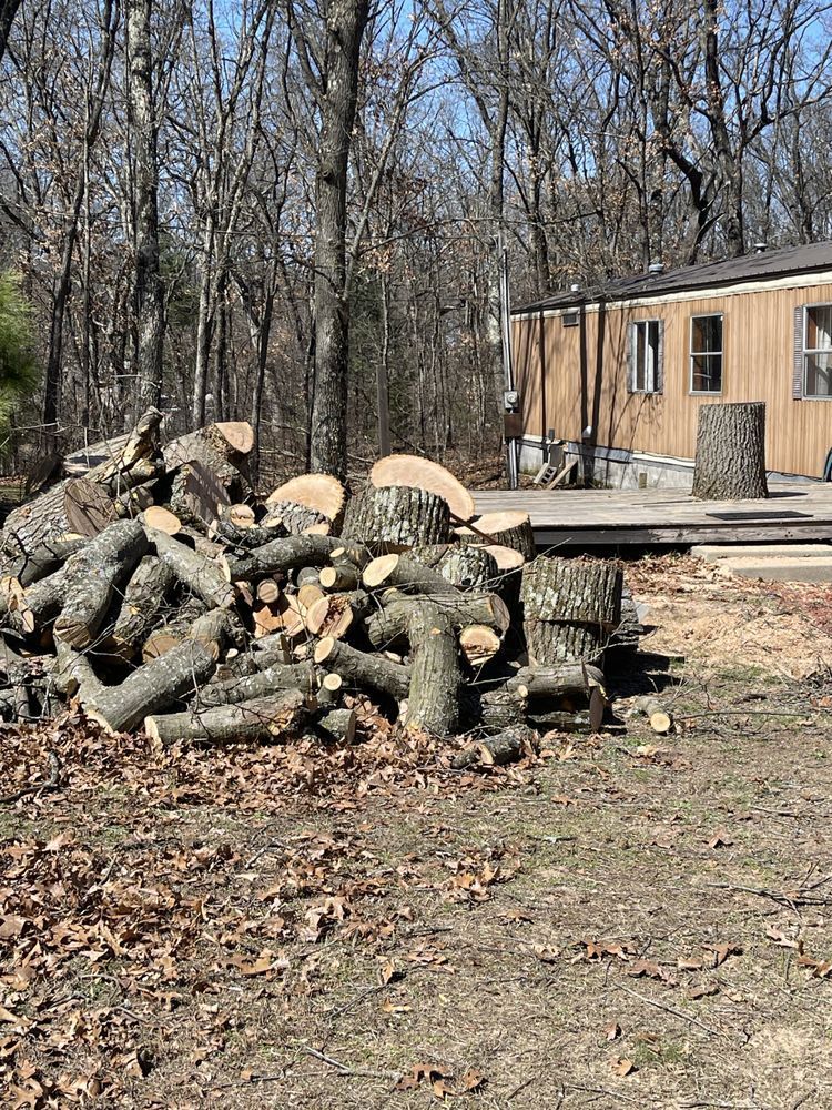 Pile of cut logs in front of a mobile home on a sunny day.