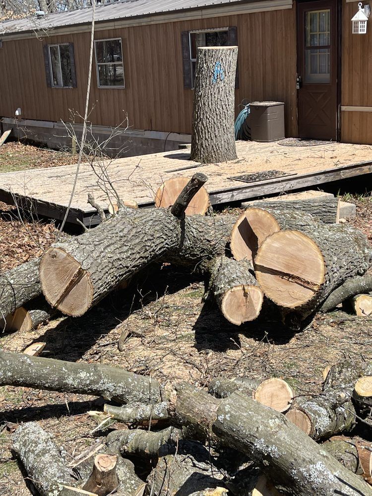 Logs and cut tree trunk lie in front of a light brown mobile home.