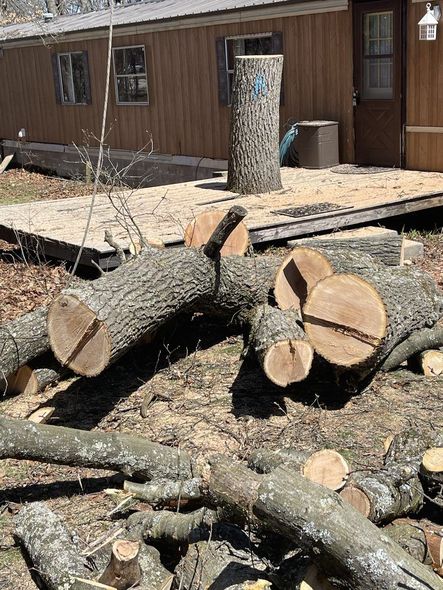 Logs of a cut tree on the ground, with a large tree trunk upright behind them on a wooden deck.