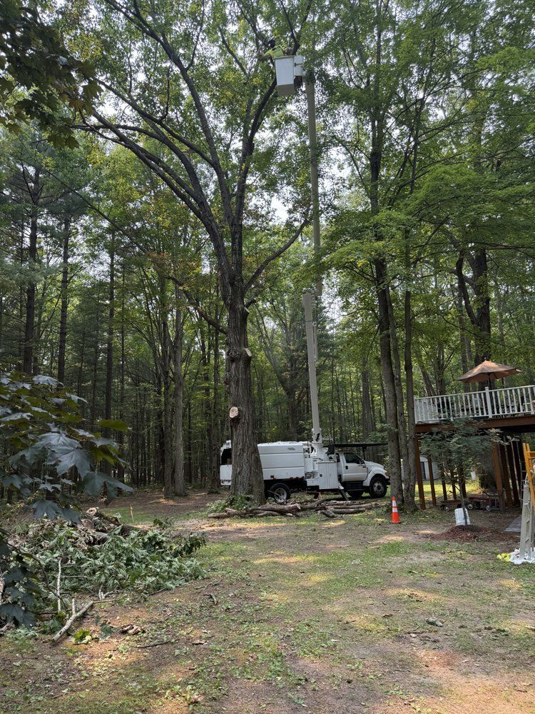 A tree service truck with a lift trimming a tall tree in a wooded backyard.
